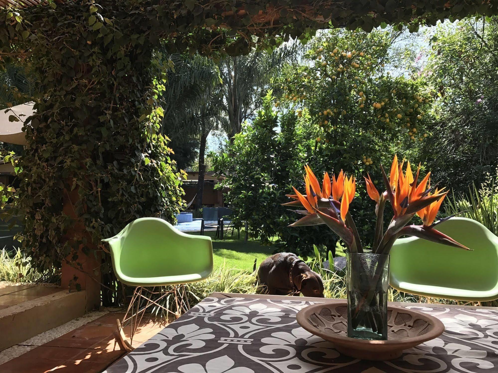 Bed and Breakfast La Joya Del Viento Valle de Bravo Zewnętrze zdjęcie